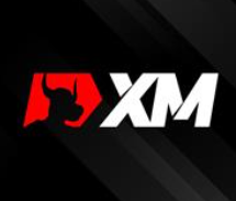 XM个人代理怎么申请？XM团队代理怎么申请？